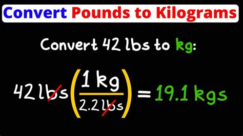 110pounds in kg|110 Pounds to Kilograms Conversion